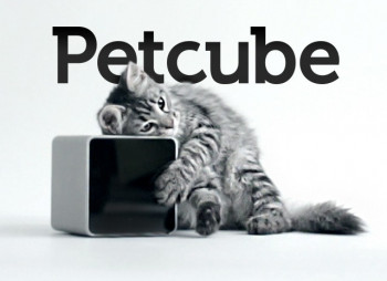 Стартап Petcube  привлек $1,1 млн. от Almaz Capital и AVentures Capital