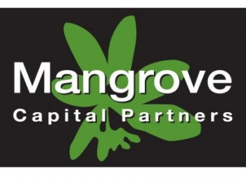 Венчурный фонд Mangrove Capital Partners заморозил проекты в России