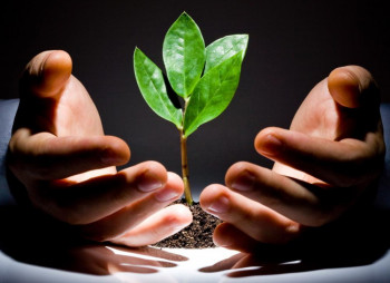 During the first six month Ukrainian start-ups attracted $11 mln investments 