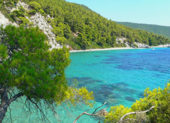 Частный греческий остров Моди выставлен на продажу за 1,5 млн. долл.