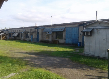 Продаю коммерческое помещение 1800 м2