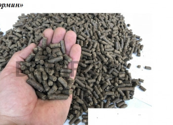 Строительство завода по производству органо - минеральных удобрений «Экормин» пролонгированного действия