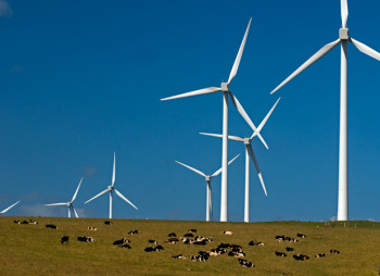 General Electric строит крупнейшую в Австралии ветровую электростанцию