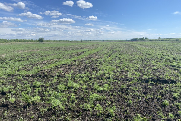 Продажа агрокомпании 2600 га с поливом под выращивание овощей, зерновых и животноводство