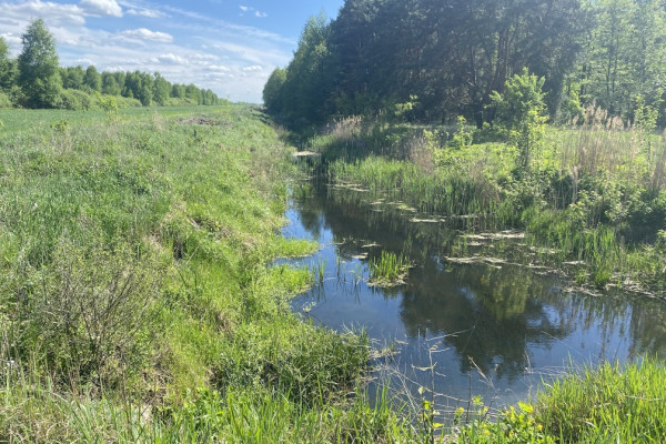 Продажа агрокомпании 2600 га с поливом под выращивание овощей, зерновых и животноводство