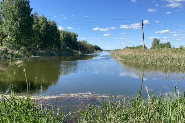 Продажа агрокомпании 2600 га с поливом под выращивание овощей, зерновых и животноводство