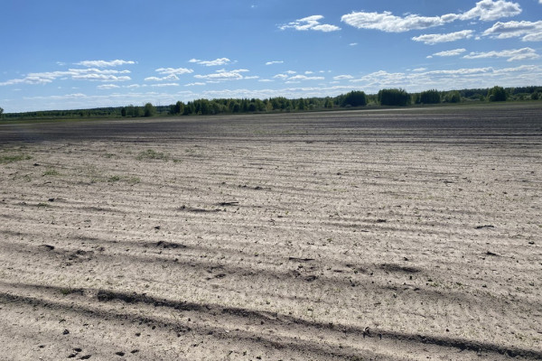 Продажа агрокомпании 2600 га с поливом под выращивание овощей, зерновых и животноводство