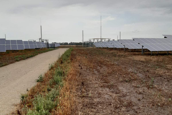 Продаж сонячної електростанції 10,9 МВт у Черкаській області