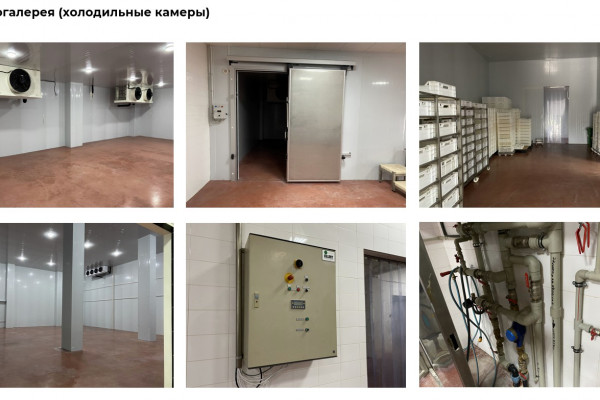 Продажа производственного комплекса пищевого назначения в Киевской области