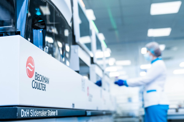 Франшиза ДИЛА