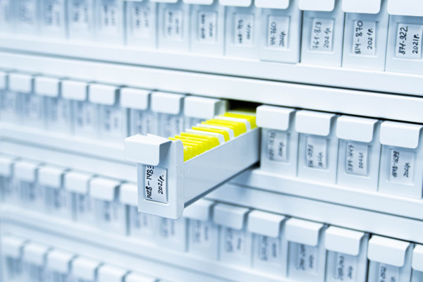 Франшиза ДИЛА