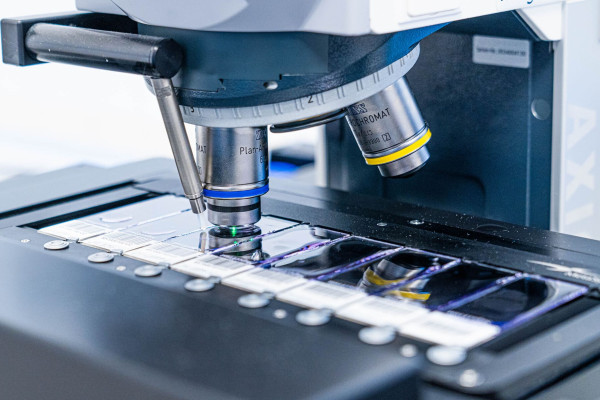 Франшиза ДИЛА