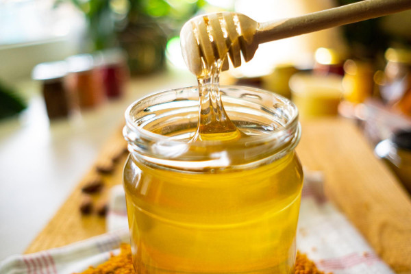 Investments in honey production and export from Ukraine with annual return up to 20-25%