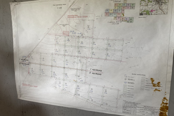 Organic berry farm with expansion project in Kyiv region for sale