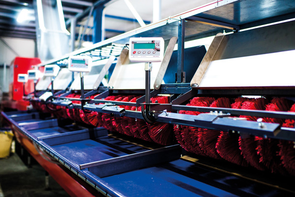 Продажа фруктового сада площадью 241 га на Прикарпатье 