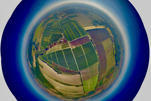 Продаж фруктового саду площею 241 га з холодильником РГС 2000 тон на Прикарпатті