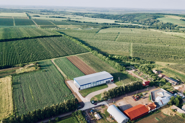 Продажа фруктового сада площадью 241 га на Прикарпатье 