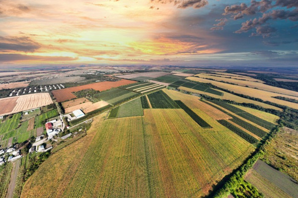 Продажа фруктового сада площадью 241 га на Прикарпатье 