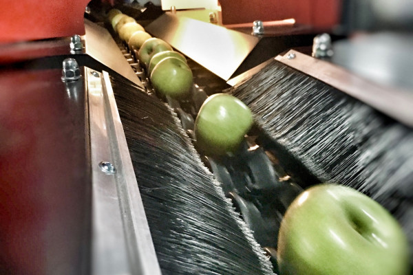 Продажа фруктового сада площадью 241 га на Прикарпатье 