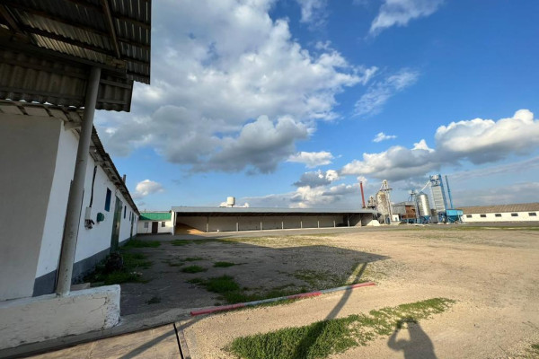 Продаж або інвестування у підприємство зі зберігання і перероблення с/г культур, Хмельницька область