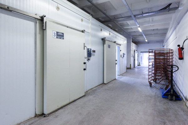 Продаж фабрики з переробки, заморожування та реалізації ягідної, фруктової та овочевої продукції