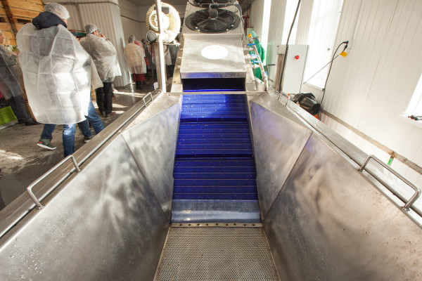 Продаж фабрики з переробки, заморожування та реалізації ягідної, фруктової та овочевої продукції