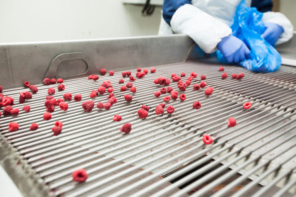 Продаж фабрики з переробки, заморожування та реалізації ягідної, фруктової та овочевої продукції