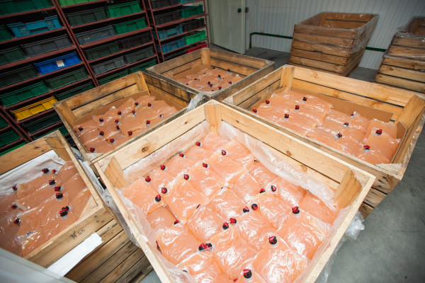 Продаж фабрики з переробки, заморожування та реалізації ягідної, фруктової та овочевої продукції