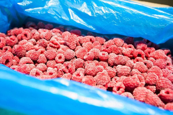 Продаж фабрики з переробки, заморожування та реалізації ягідної, фруктової та овочевої продукції