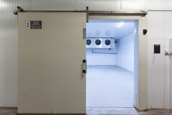 Продаж фабрики з переробки, заморожування та реалізації ягідної, фруктової та овочевої продукції