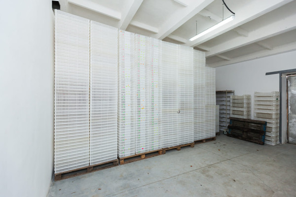 Продаж фабрики з переробки, заморожування та реалізації ягідної, фруктової та овочевої продукції