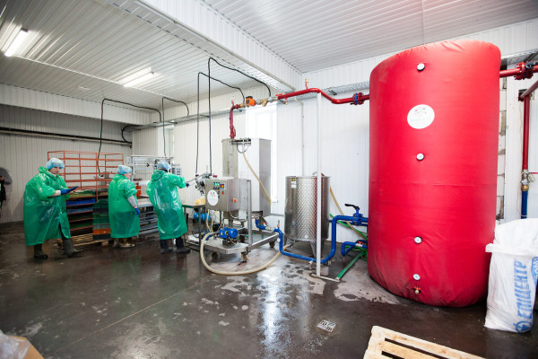 Продаж фабрики з переробки, заморожування та реалізації ягідної, фруктової та овочевої продукції