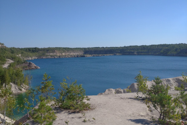 Приватизация: ЦИК - Дружбовский карьер нерудных ископаемых «Кварц»