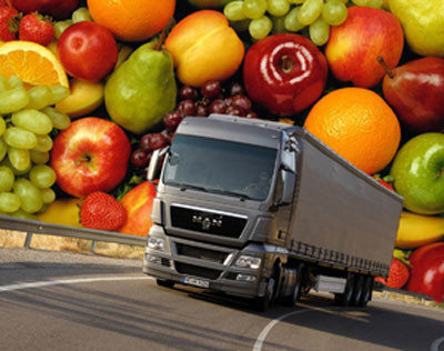 Компания по предпродажной подготовке, фасовке, сбыте высококачественных овощей и фруктов