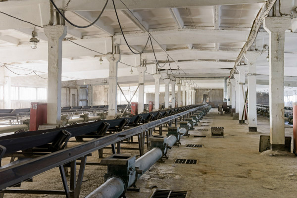 Мироновский завод по изготовлению круп и комбикормов