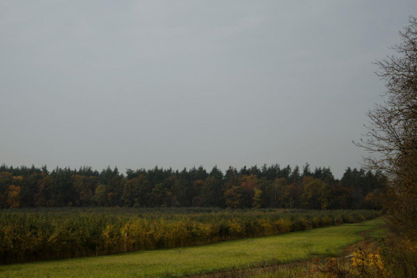 Земельные участки от CPD Group в Киево-Святошинском районе 