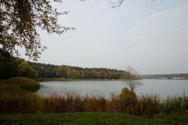 Земельные участки от CPD Group в Киево-Святошинском районе 