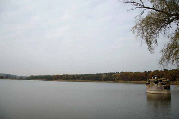 Земельные участки от CPD Group в Киево-Святошинском районе 