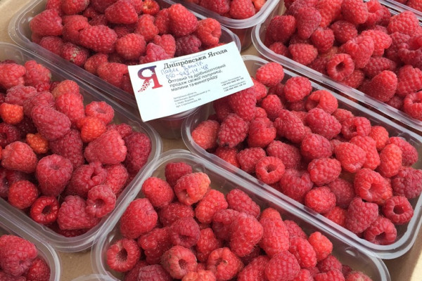 Агрокомпания по выращиванию винограда, клубники и малины