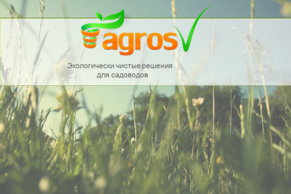 Производство и реализация изделий из торфа – торфяные стаканчики для выращивания рассады