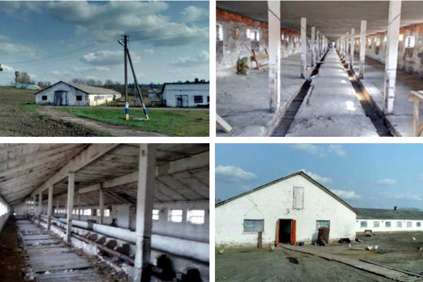 Животноводческий комплекс со специализацией: птицеводство, свиноводство, скотоводство