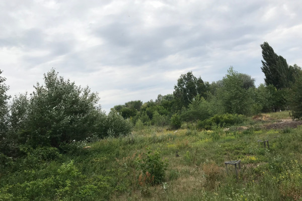 Продажа земельного участка в Киеве на берегу Днепра