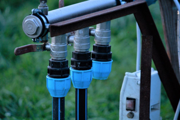 Berry farm for growing organic raspberries and currants