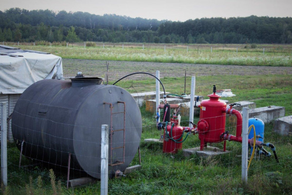 Berry farm for growing organic raspberries and currants