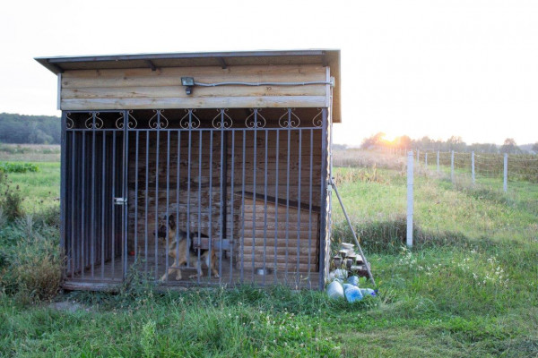 Berry farm for growing organic raspberries and currants