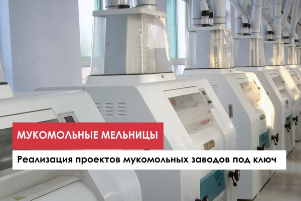 Инвестиции в производство пшеничной и кукурузной муки и комбикормовые заводы