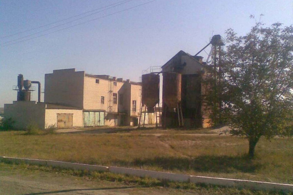 Элеватор с комбикормовым заводом, круп-заводом, мельницей и линией переработки подсолнечника