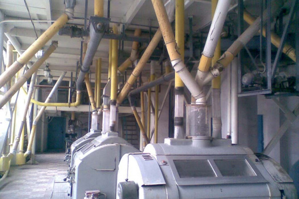 Элеватор с комбикормовым заводом, круп-заводом, мельницей и линией переработки подсолнечника