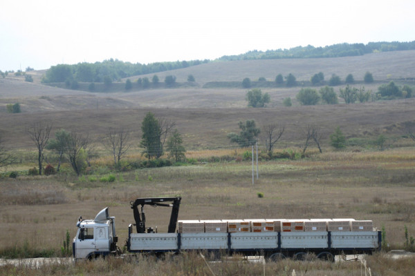 Clay blocks manufacturing brick plant