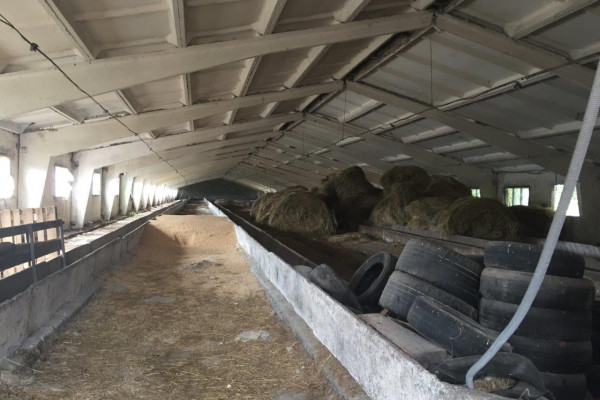 Участок 6 га под строительство промышленного комплекса + 74 га ОСГ, Киевская область